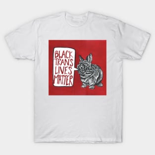 Black Trans Lives Matter! T-Shirt